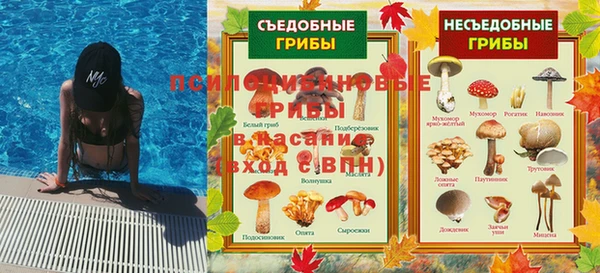 стаф Заводоуковск