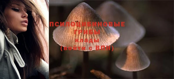 спайс Заволжск