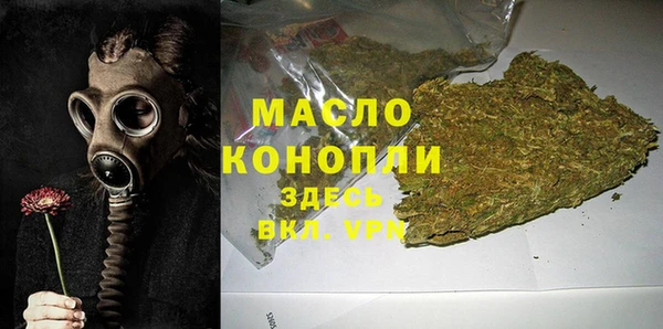 стаф Заводоуковск