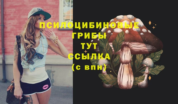 стаф Заводоуковск