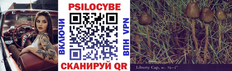 Галлюциногенные грибы Psilocybine cubensis  Купить  Елизаветинская 